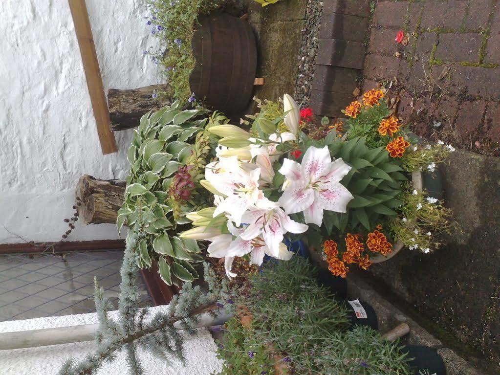 Hillview Cottage Stirling Exterior foto